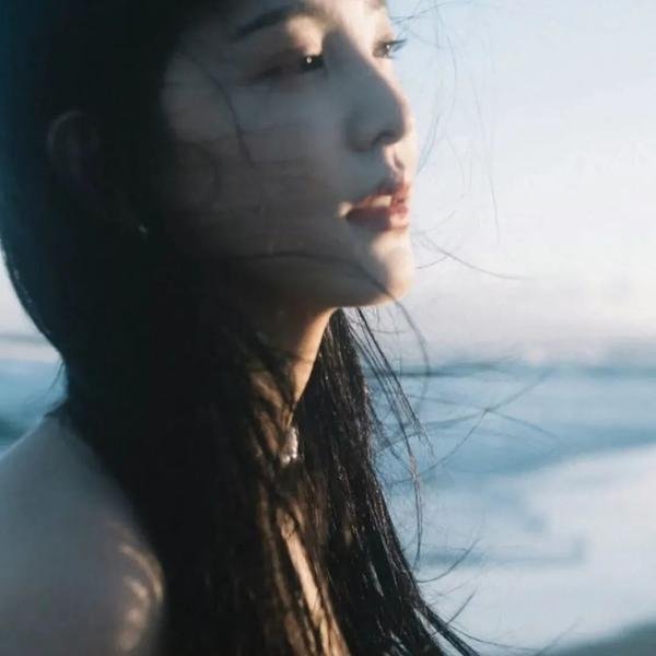 与凤飞
